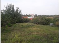 Na prodej velmi pěkný dům se zahradou